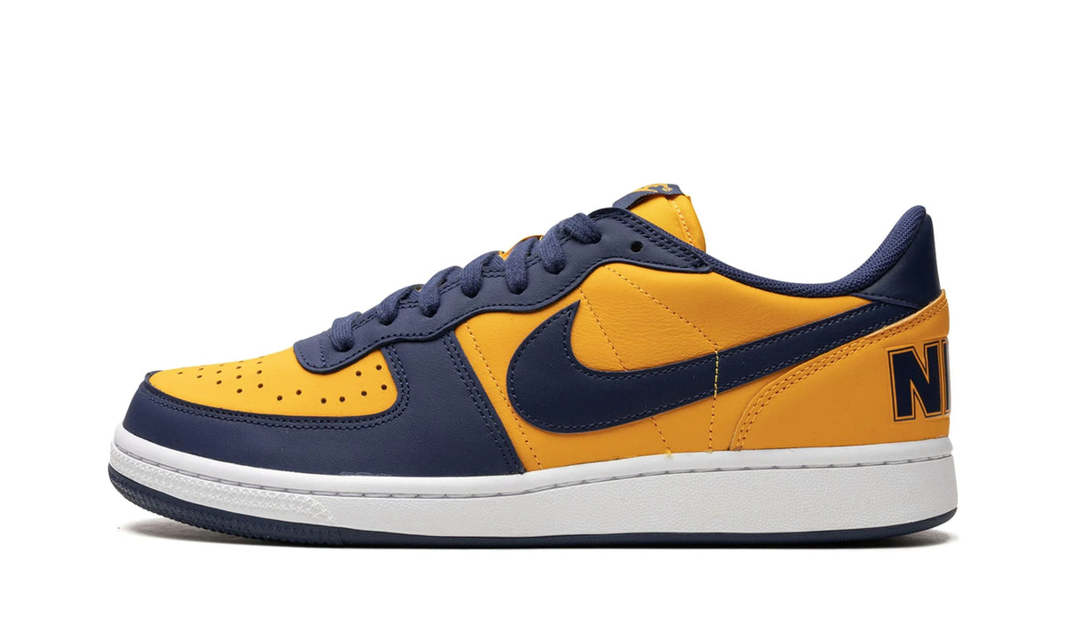 Nike Terminator Low OG “Michigan”