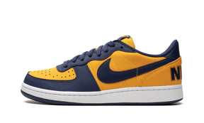 Nike Terminator Low OG “Michigan”