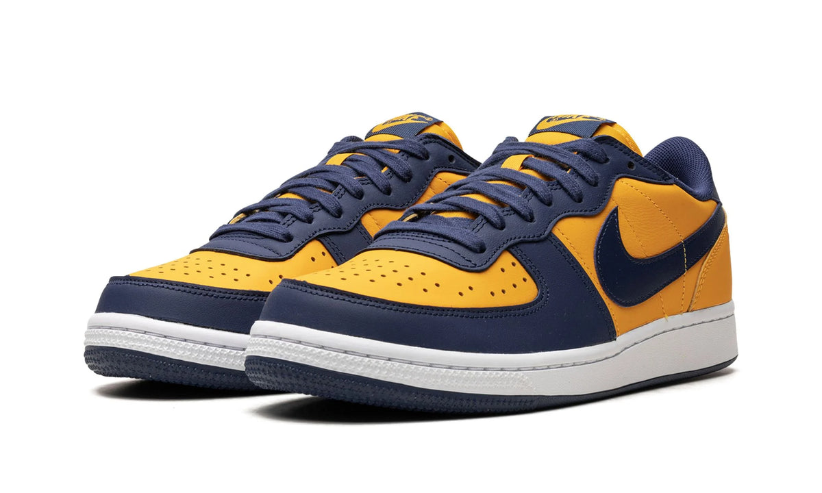 Nike Terminator Low OG “Michigan”