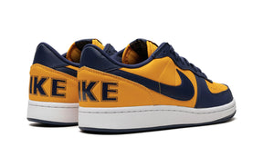 Nike Terminator Low OG “Michigan”