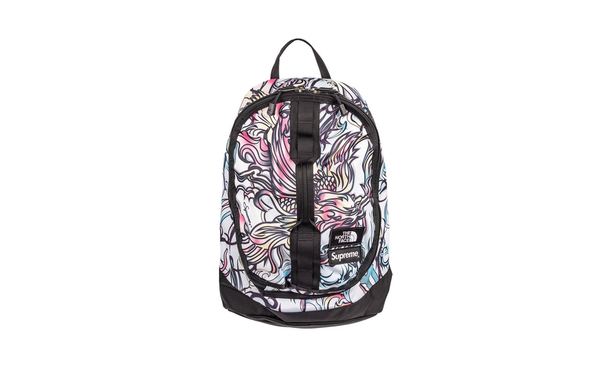 Supreme The North Face Backpack "FW22"